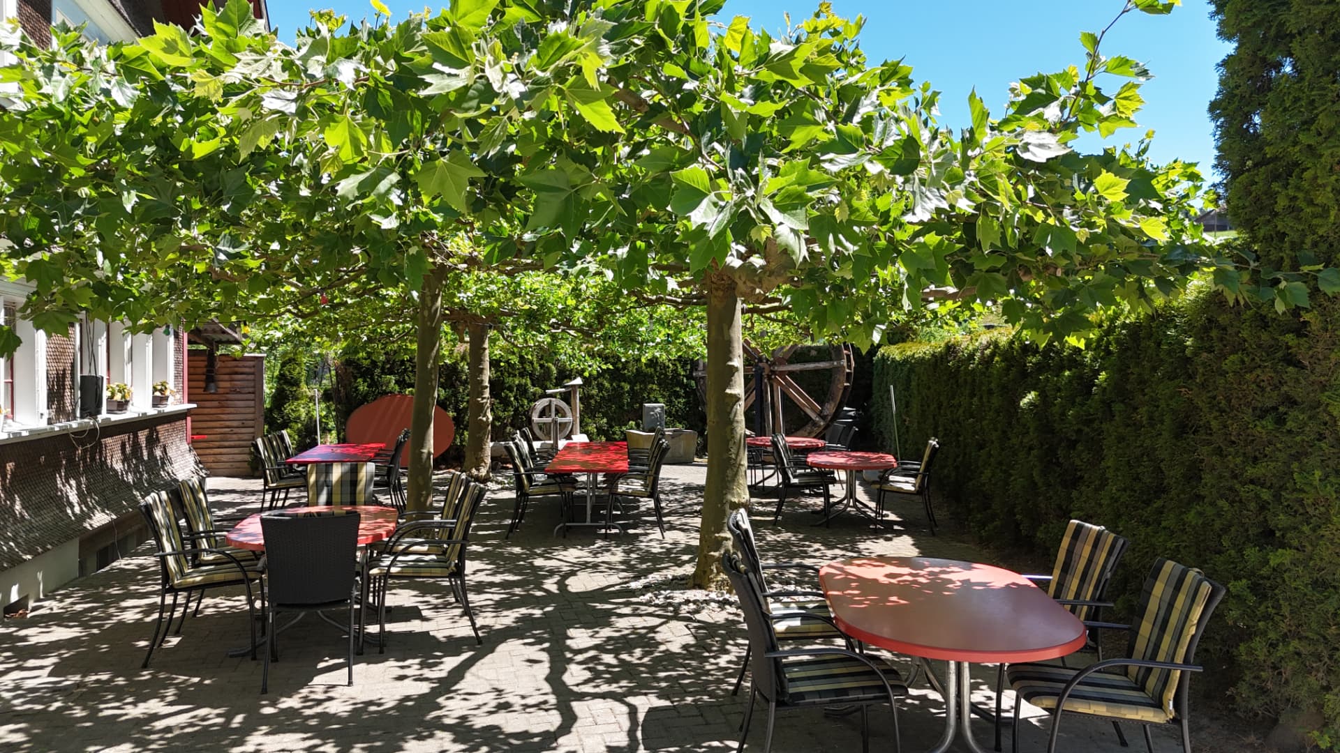 Gartenwirtschaft unter den Platanen